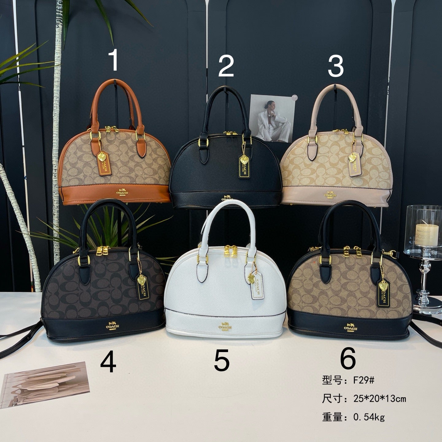 BF - Signature C Speed Bags