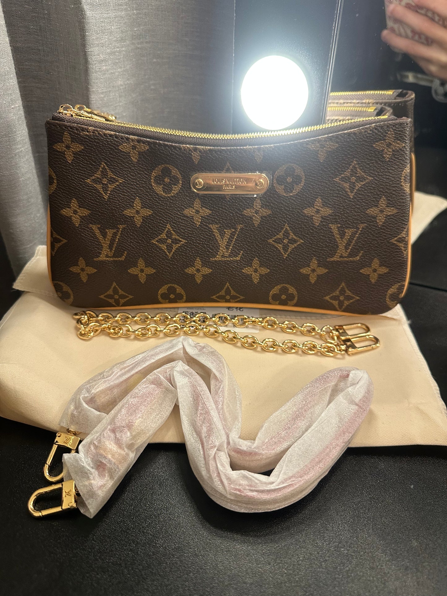 Brown Monogram On the Go Mini Bag