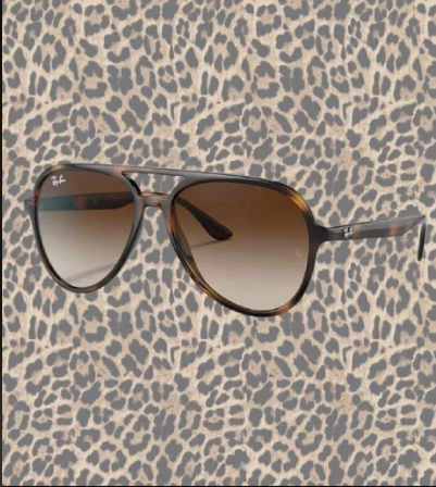 Ray Tortoise Aviator Sunnies